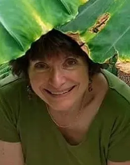 Zsuzsi Nagy